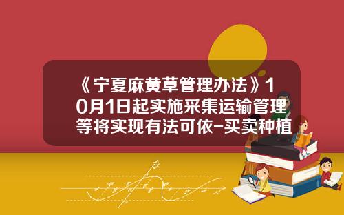 《宁夏麻黄草管理办法》10月1日起实施采集运输管理等将实现有法可依-买卖种植麻黄素多少要