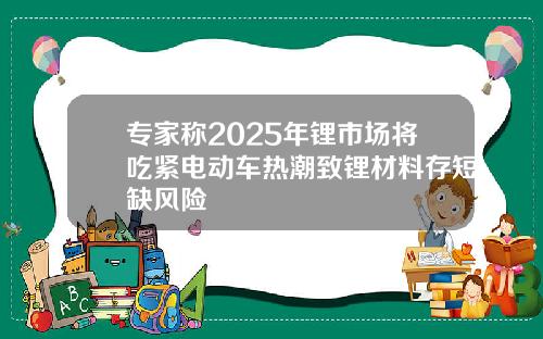 专家称2025年锂市场将吃紧电动车热潮致锂材料存短缺风险