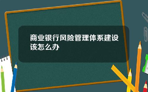 商业银行风险管理体系建设该怎么办