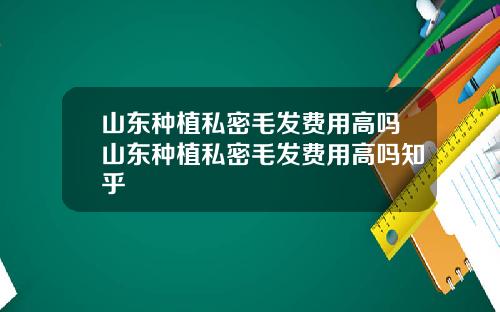 山东种植私密毛发费用高吗山东种植私密毛发费用高吗知乎