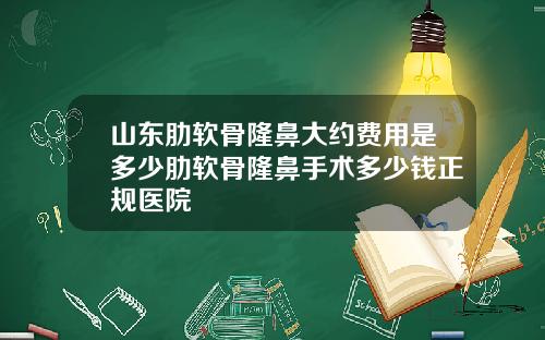 山东肋软骨隆鼻大约费用是多少肋软骨隆鼻手术多少钱正规医院