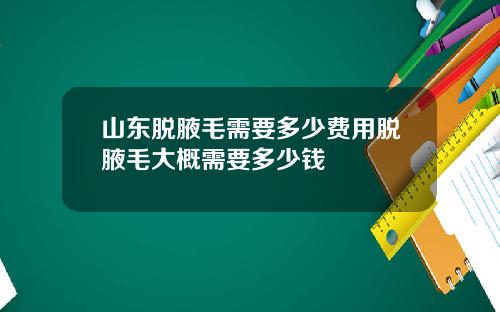 山东脱腋毛需要多少费用脱腋毛大概需要多少钱