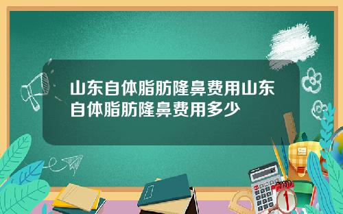 山东自体脂肪隆鼻费用山东自体脂肪隆鼻费用多少