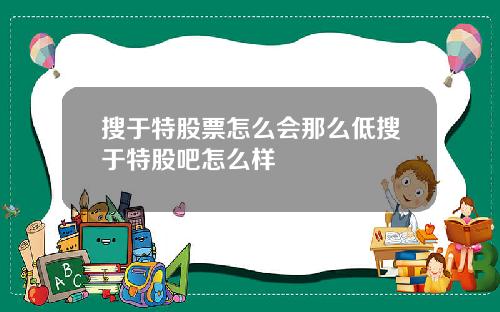 搜于特股票怎么会那么低搜于特股吧怎么样
