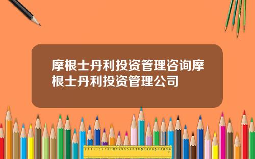 摩根士丹利投资管理咨询摩根士丹利投资管理公司