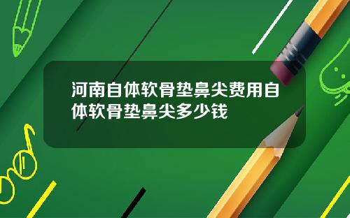 河南自体软骨垫鼻尖费用自体软骨垫鼻尖多少钱