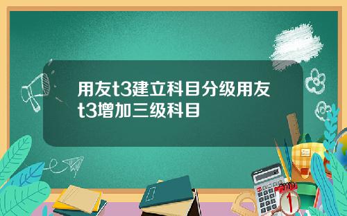 用友t3建立科目分级用友t3增加三级科目