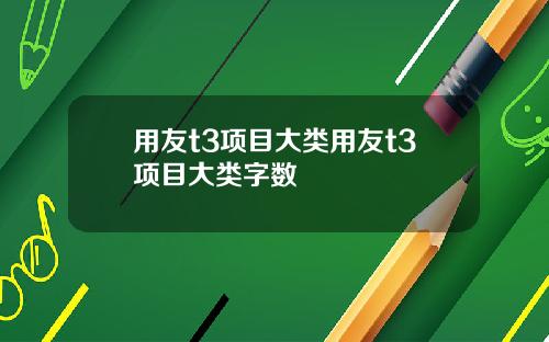 用友t3项目大类用友t3项目大类字数