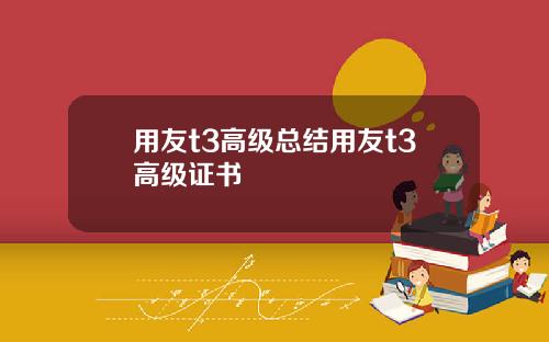 用友t3高级总结用友t3高级证书