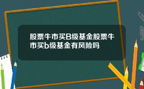 股票牛市买B级基金股票牛市买b级基金有风险吗