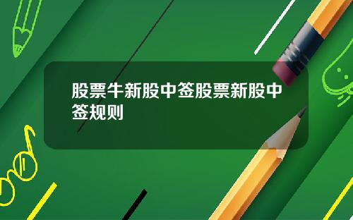 股票牛新股中签股票新股中签规则