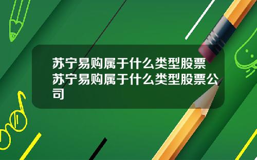 苏宁易购属于什么类型股票苏宁易购属于什么类型股票公司