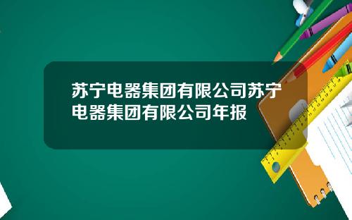 苏宁电器集团有限公司苏宁电器集团有限公司年报
