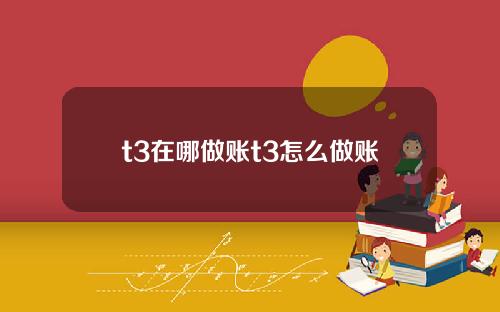 t3在哪做账t3怎么做账