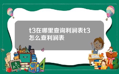 t3在哪里查询利润表t3怎么查利润表