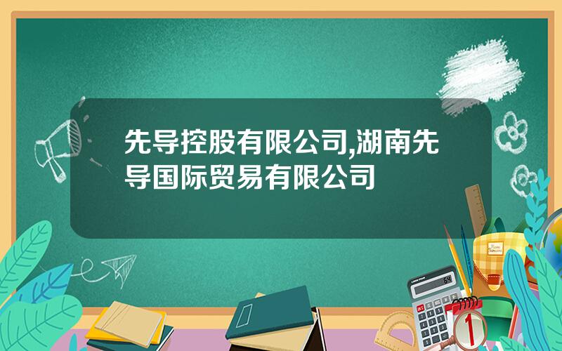 先导控股有限公司,湖南先导国际贸易有限公司
