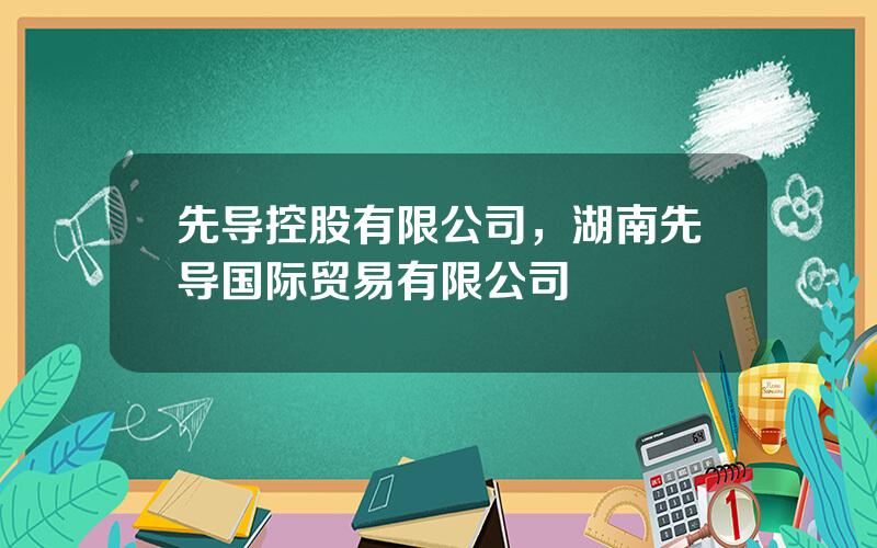 先导控股有限公司，湖南先导国际贸易有限公司