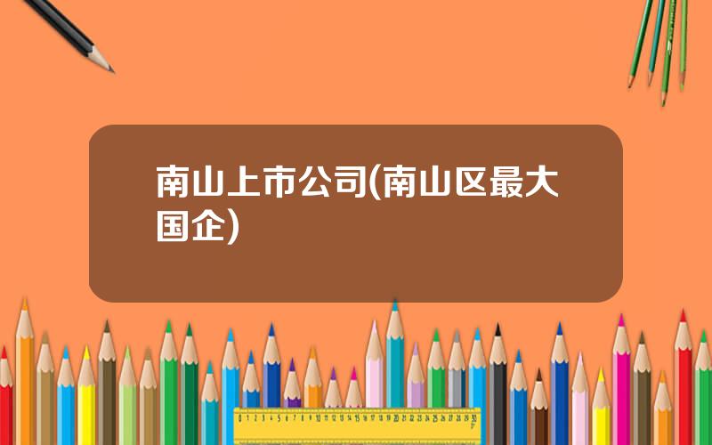 南山上市公司(南山区最大国企)