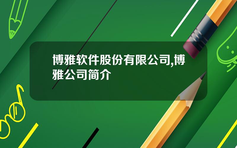 博雅软件股份有限公司,博雅公司简介