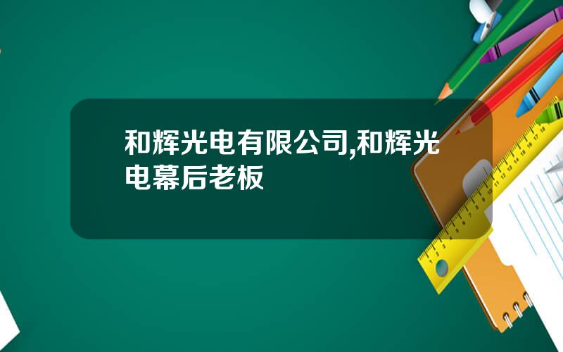 和辉光电有限公司,和辉光电幕后老板