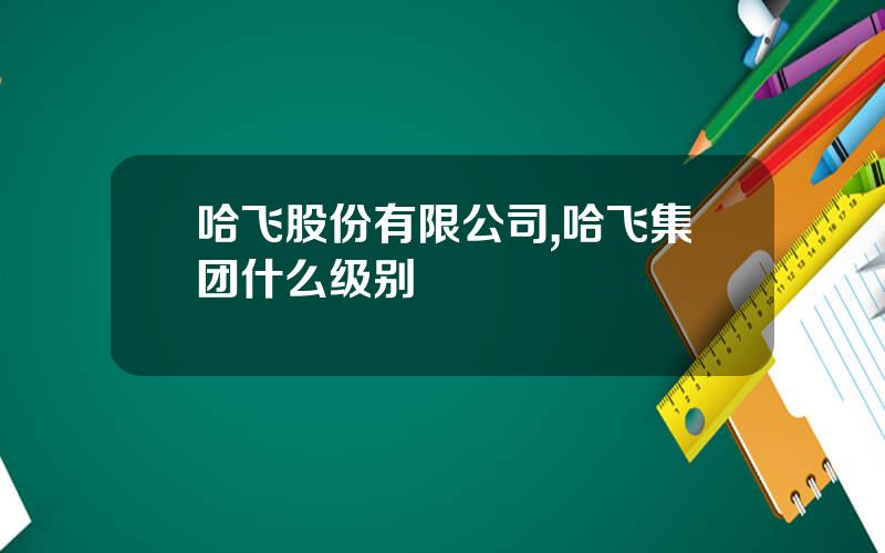 哈飞股份有限公司,哈飞集团什么级别