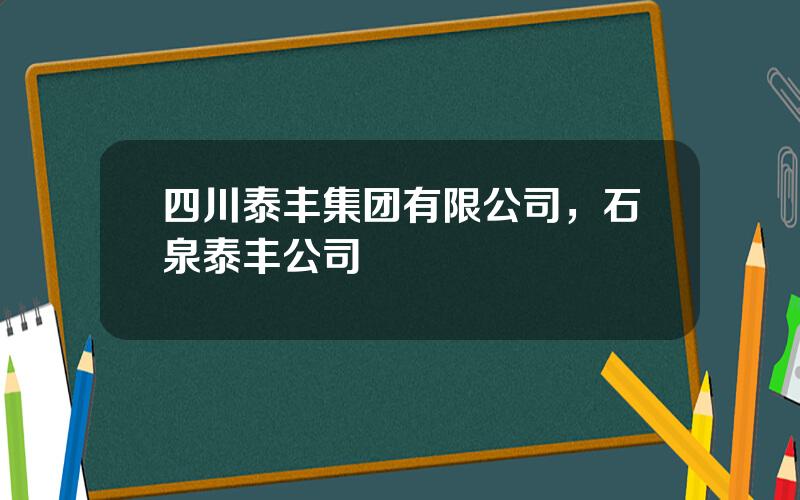 四川泰丰集团有限公司，石泉泰丰公司