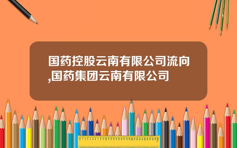 国药控股云南有限公司流向,国药集团云南有限公司