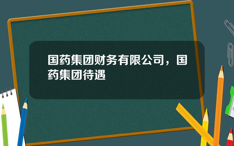 国药集团财务有限公司，国药集团待遇