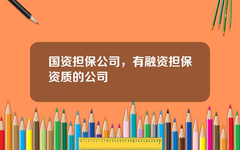 国资担保公司，有融资担保资质的公司