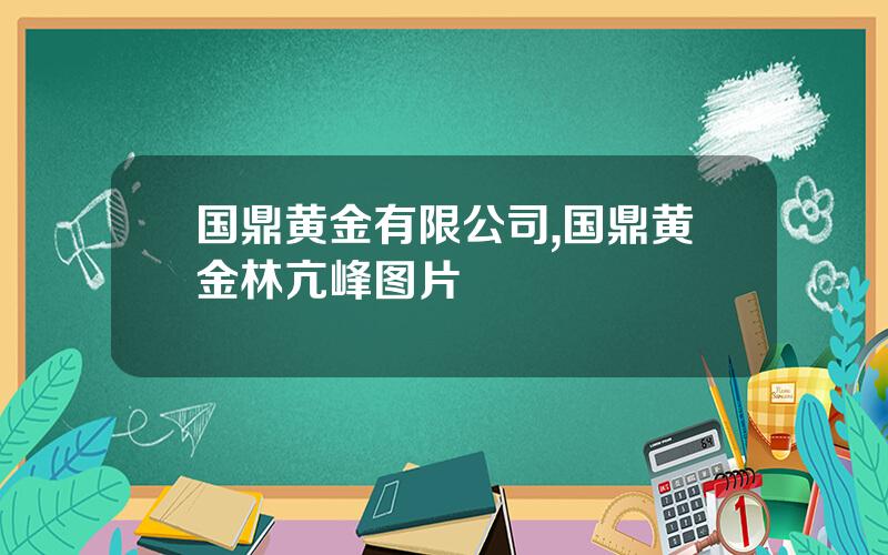 国鼎黄金有限公司,国鼎黄金林亢峰图片