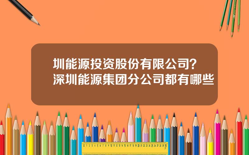 圳能源投资股份有限公司？深圳能源集团分公司都有哪些