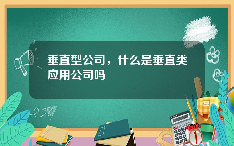 垂直型公司，什么是垂直类应用公司吗