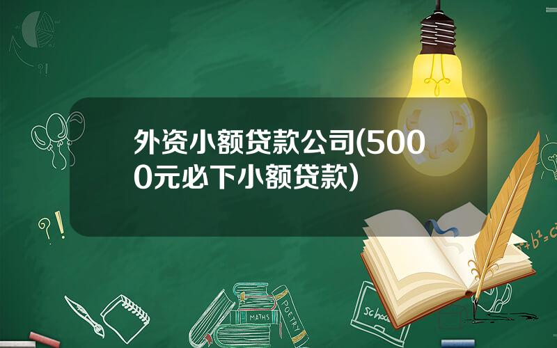 外资小额贷款公司(5000元必下小额贷款)