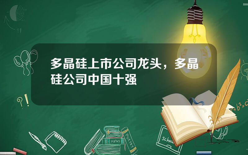 多晶硅上市公司龙头，多晶硅公司中国十强