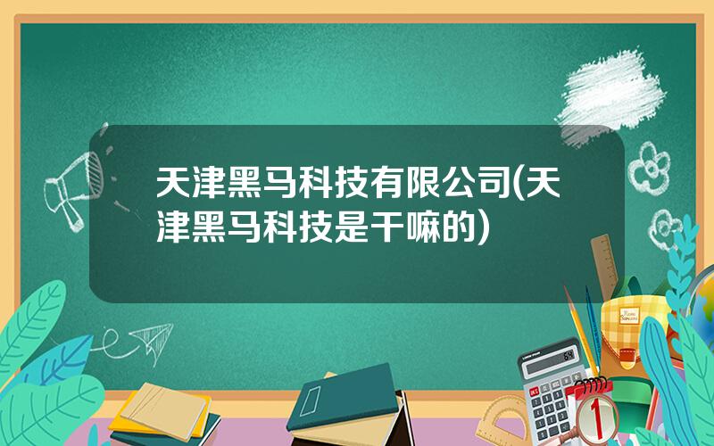天津黑马科技有限公司(天津黑马科技是干嘛的)