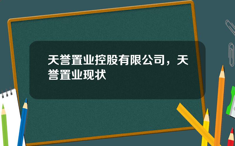 天誉置业控股有限公司，天誉置业现状