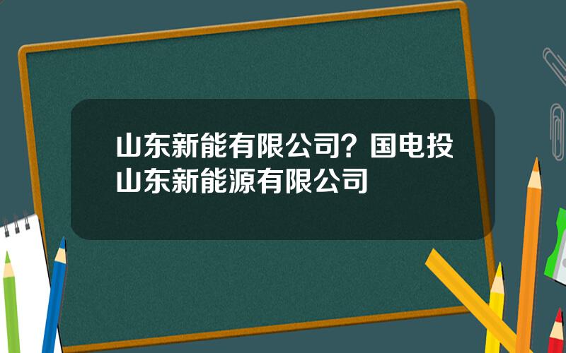 山东新能有限公司？国电投山东新能源有限公司