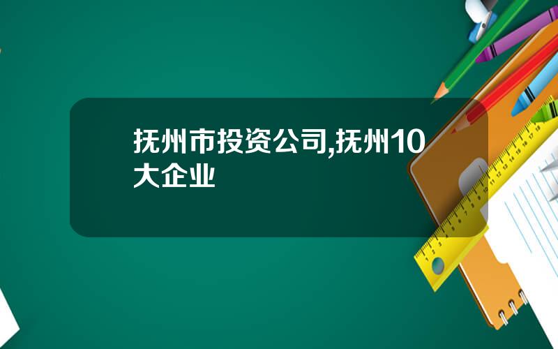 抚州市投资公司,抚州10大企业