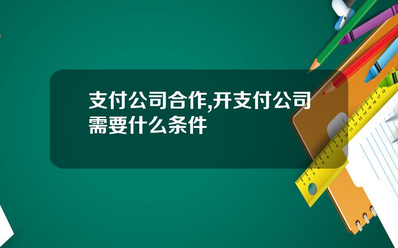 支付公司合作,开支付公司需要什么条件
