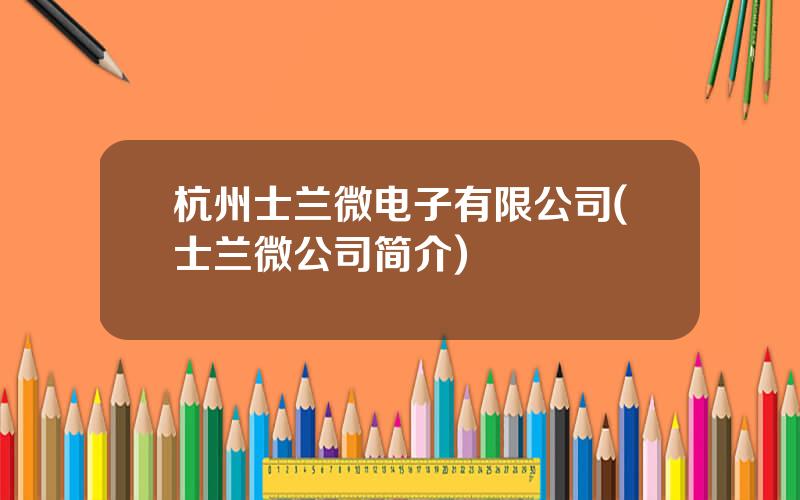 杭州士兰微电子有限公司(士兰微公司简介)