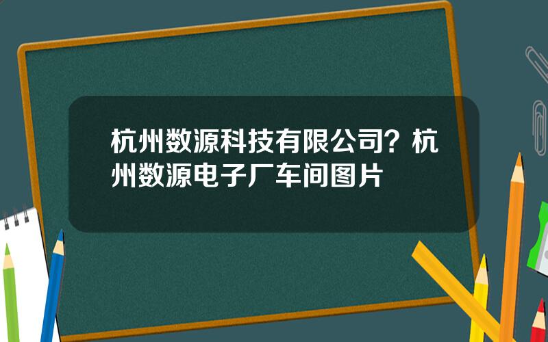 杭州数源科技有限公司？杭州数源电子厂车间图片