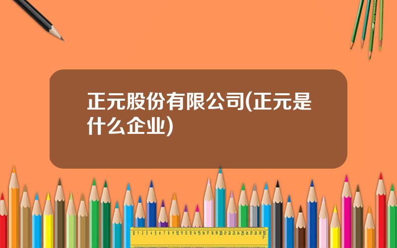 正元股份有限公司(正元是什么企业)